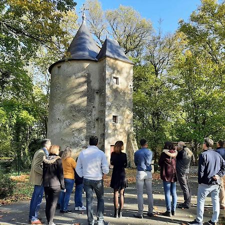 Chateau De Mornay Saint-Pierre-de-l'Isle ภายนอก รูปภาพ