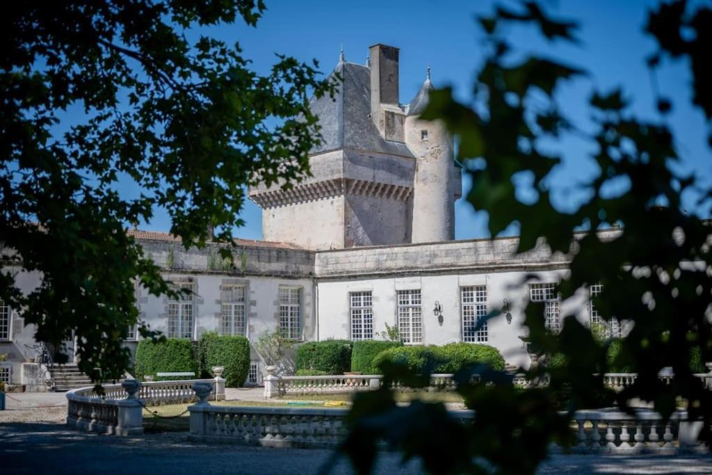 Chateau De Mornay Saint-Pierre-de-l'Isle ภายนอก รูปภาพ