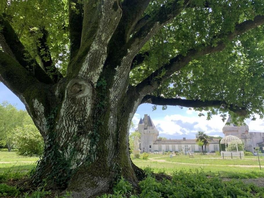 Chateau De Mornay Saint-Pierre-de-l'Isle ภายนอก รูปภาพ